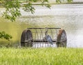 Great Blue Heron standing near a Lake Flood Drain