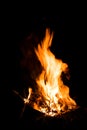 Great bright flame of fire. Burning firewood in the fire at night, the texture of fire and flame. Royalty Free Stock Photo