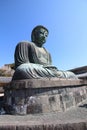 The great Buddah in Kamakura (Kamakura Daibutsu)