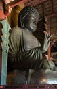 The Great Buddha Royalty Free Stock Photo