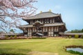 Great Buddha Hall of todaiji with cherry blossom