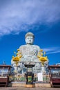 The Great Buddha Hyogo Daibutsu at Nofukuji Temple in Kobe Royalty Free Stock Photo