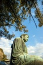 Great Buddha Japan Royalty Free Stock Photo