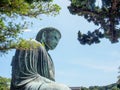 The great Buddha of Kamakura with blue sky, Japan Royalty Free Stock Photo