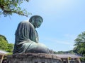 The great Buddha of Kamakura with blue sky, Japan Royalty Free Stock Photo