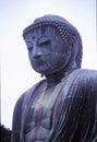 The Great Buddha of Kamakura Royalty Free Stock Photo