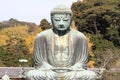 The Great Buddha in Kamakura Royalty Free Stock Photo