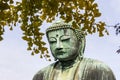 The Great Buddha of Kamakura Royalty Free Stock Photo