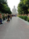 The Great Buddha Statue  in Bodhgaya India Royalty Free Stock Photo