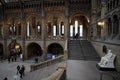 Staircase at the, Natural History Museum, London Royalty Free Stock Photo