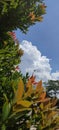 Great Cloud at Afternoon View