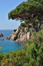 Costa Brava - mediterranien coastline in Spain Royalty Free Stock Photo