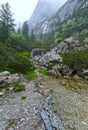 Great Cold Valley summer view (High Tatras, Slovakia). Royalty Free Stock Photo