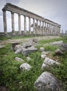 The Great Colonnade of Apamea ruins Royalty Free Stock Photo