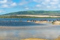 Great colony of brown pelicans on the beach. Royalty Free Stock Photo
