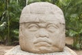 Great Colossal Head Olmec culture La Venta Villahermosa Tabasco Mexico Royalty Free Stock Photo