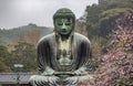 The Great Daibutsu Buddha statue in Kamakura Royalty Free Stock Photo