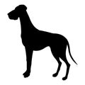 Dog breed illustration. Black silhouette Great Dane. Royalty Free Stock Photo