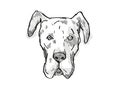 Great Dane Dog Breed Cartoon Retro Drawing