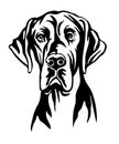 Great dane dog vector black contour portrait vector Royalty Free Stock Photo