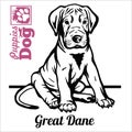 Great Dane puppy sitting. Drawing by hand, sketch. Engraving style, black and white vector image. Royalty Free Stock Photo