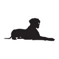 Great Danes Dog Sitting On Side Silhouette Found In Map Of Europe Royalty Free Stock Photo