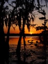 Lake Martin sunset Royalty Free Stock Photo