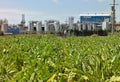 Ashland - chemical factory in Benicarlo, Castellon - Spain