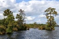 Great Dismal Swamp Royalty Free Stock Photo