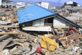 The Great East Japan Earthquake