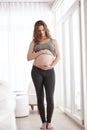 Great expectations. Full length shot of a young pregnant woman standing in her home. Royalty Free Stock Photo
