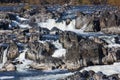 Great Falls in Autumn Royalty Free Stock Photo