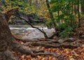 Great Falls of Tinker`s Creek Gorge Royalty Free Stock Photo