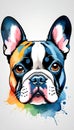 Colorful French Bulldog illustration on watercolor splash isolated on white background