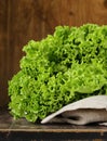 Great fresh organic green lettuce