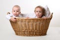 Great friends in basket