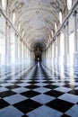 The Great Gallery, in Venaria Royal Palace