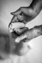 Great-grandmother touching little baby foot, black and white shot, the concept of a family and a new life. into a selective focus