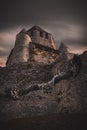 Great gray owl flying down a medieval castel in Provin, France Royalty Free Stock Photo