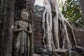 Great Guardian. Within the ruins of Angkor Wat trees and jungle have taken over entire buildings. Ta Prohm, Siem Reap. Cambodia.