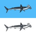 Great hammerhead shark. Marine predator requiem animal. Sea life. Hand drawn vintage engraved sketch. Ocean fish. Vector Royalty Free Stock Photo