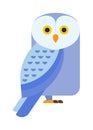 Great horned Owl, bubo virginianus subarcticus flat cartoon wildlife nature bird vector illustration. Royalty Free Stock Photo