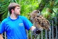 Great horned owl in hand of zoo keeper