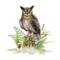 Great horned owl on mossy stamp. Watercolor illustration. Bubo virginianus North America native avian. Hand drawn