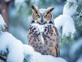 Great Horned Owl in Snow Covered Tree  Made With Generative AI illustration Royalty Free Stock Photo