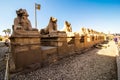 January, 2018 - Luxor, Egypt. Great Hypostyle Hall and clouds at the Temples of Karnak ancient Thebes. Luxor, Egypt Royalty Free Stock Photo