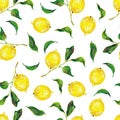 Great illustration of beautiful yellow lemon fruits isolated on white background. Seamless pattern for fabric design