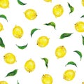 Great illustration of beautiful yellow lemon fruits isolated on white background. Seamless pattern for fabric design. Handwork