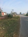 The great Indian vegetation grow on side road