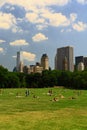 The Great Lawn in Central Park